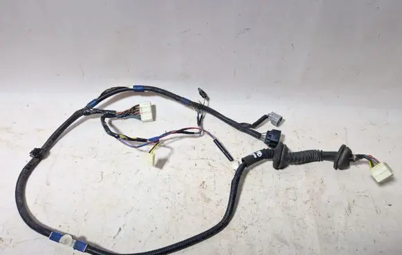 Rear door wiring loom