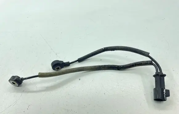 Ford S-MAX Detonation knock sensor 0261231178 8653171