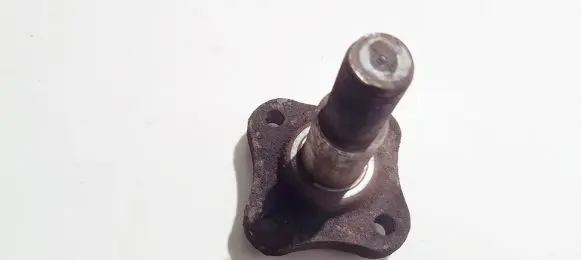 Renault Clio II Stub axle 
