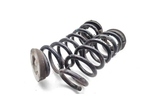 Rear coil spring