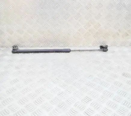Tailgate/trunk strut/damper