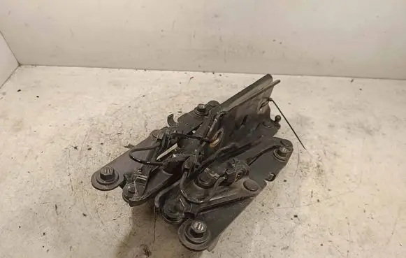 Opel Insignia B Engine bonnet/hood hinges 39126608 2697