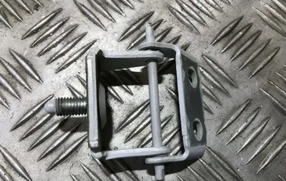 Rear door lower hinge