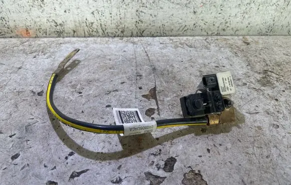 Nissan Qashqai J12 Negative earth cable (battery) A4209051300 250820499R