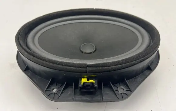 Front door speaker
