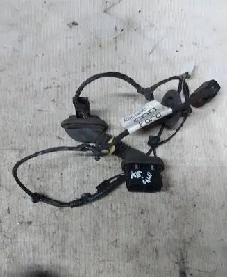 Rear door wiring loom