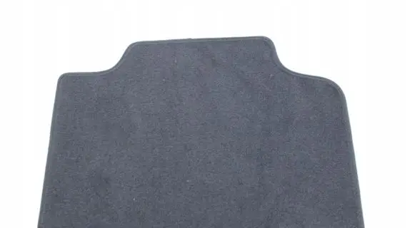 BMW X1 U11 Rear floor mat 5A498E7