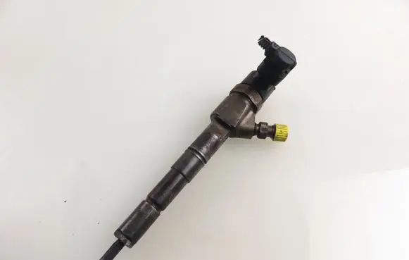 Opel Signum Fuel injector 0445110159