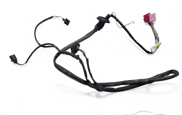 Volkswagen PASSAT B5.5 Other wiring loom 3B1971076CG