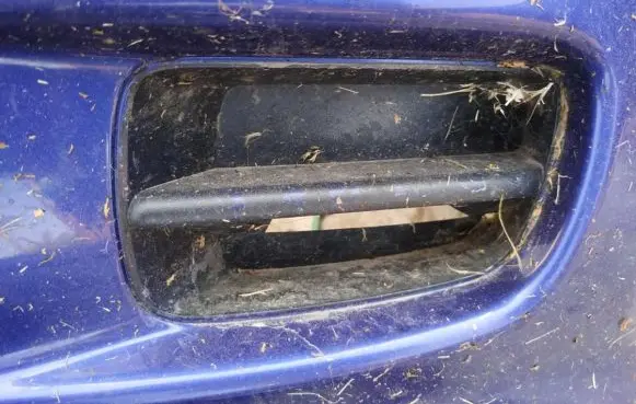 Honda Logo Front bumper lower grill
