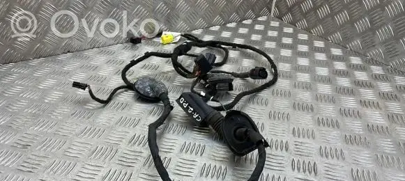 Audi Q5 SQ5 Front door wiring loom 8R0971029AE