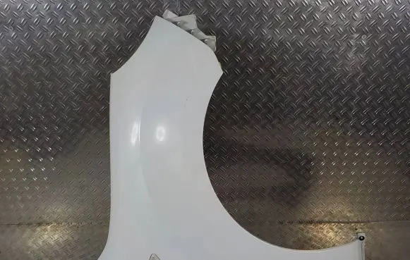 Renault Kangoo II Fender