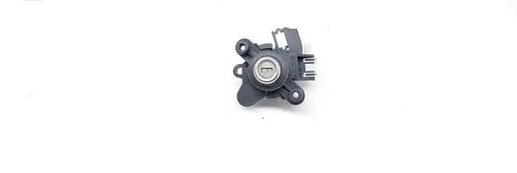 BMW 5 E60 E61 Tailgate exterior lock 8241088