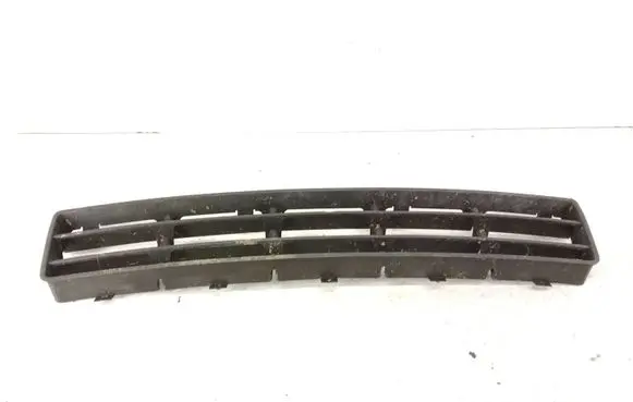 Front bumper lower grill