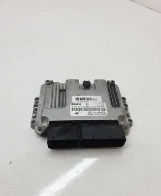 KIA Sorento Engine control unit/module 391144A410 0281013048