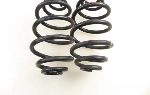 Rear coil spring