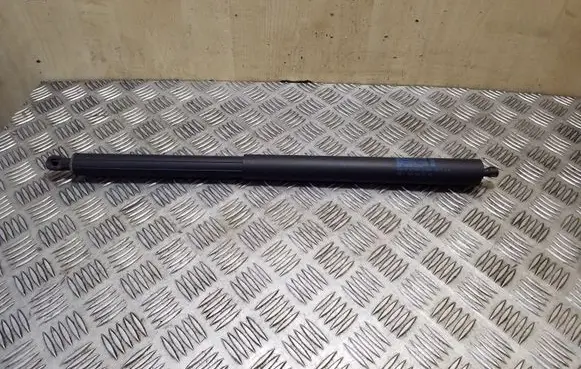 Tailgate/trunk strut/damper