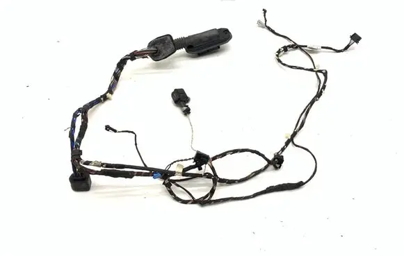 BMW X3 F25 Front door wiring loom 9169241