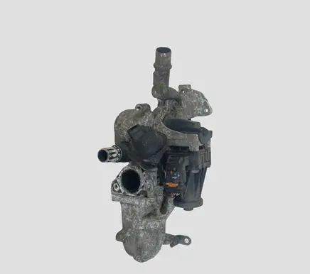 Citroen DS3 EGR valve 50563902