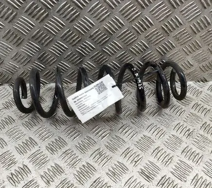 Toyota RAV 4 (XA50) Rear coil spring 4823142580