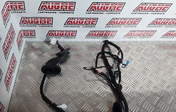 Tesla Model 3 Rear door wiring loom 206796600B