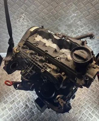 Volkswagen Golf VI Engine CAY