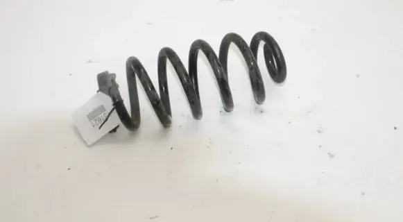 Volkswagen ID.3 Rear coil spring