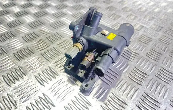 Thermostat/thermostat housing