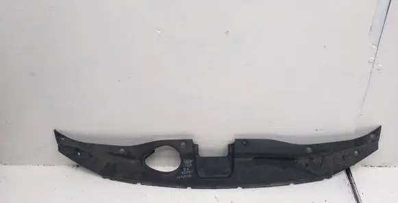 Radiator trim