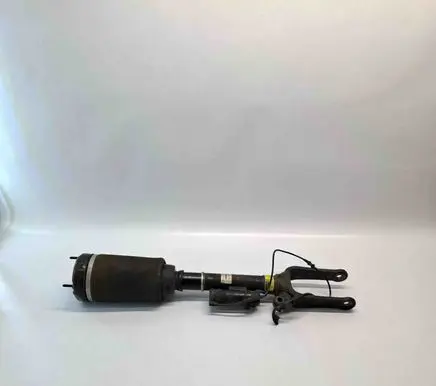Mercedes-Benz R W251 Air suspension front shock absorber A2513205613