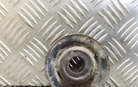 Coil spring mount