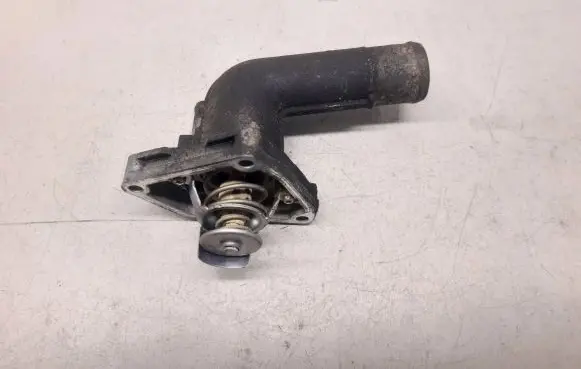 Thermostat/thermostat housing