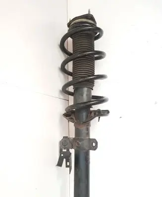 Ford Transit Custom Front shock absorber with coil spring FK2118045AA