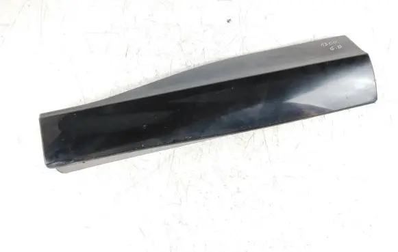 Rear door trim (molding)