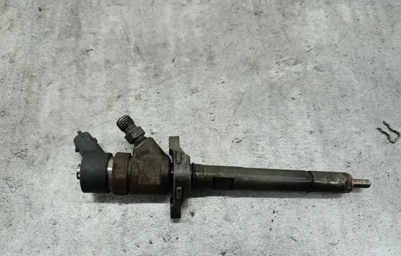 Peugeot Expert Fuel injector 0445110239