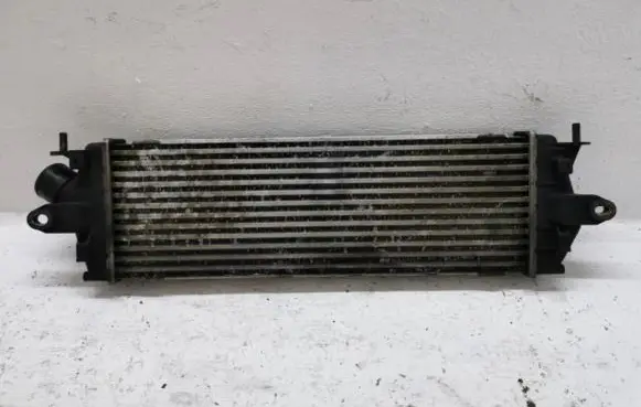 Renault Trafic II (X83) Intercooler radiator 8200411160