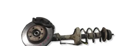 Renault Kangoo I Front wheel hub spindle knuckle ZMLPRKI15