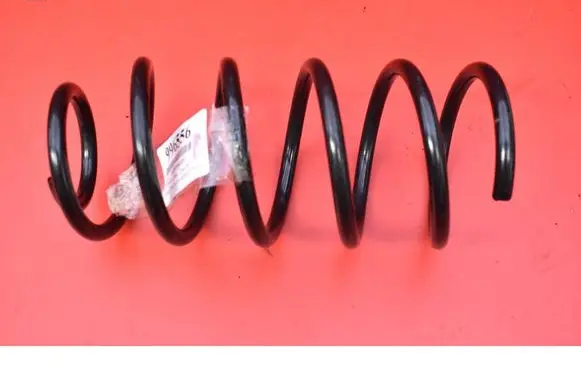 Rear coil spring