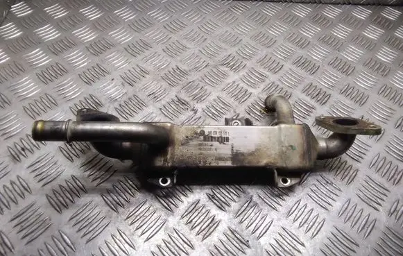 Seat Alhambra (Mk1) EGR valve cooler 038131513L
