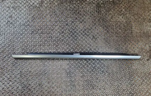 Rear door trim (molding)