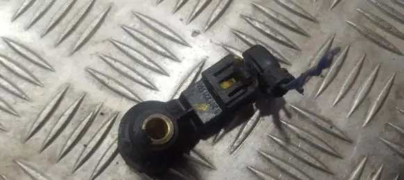 Fiat Punto (188) Detonation knock sensor 0261231148