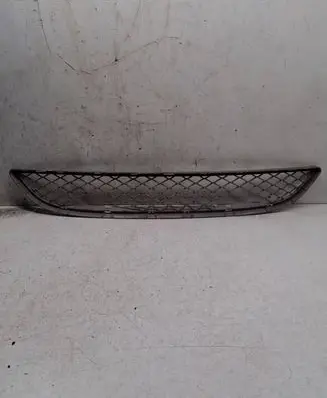 BMW X6 E71 Front bumper lower grill 51117176282 7176282