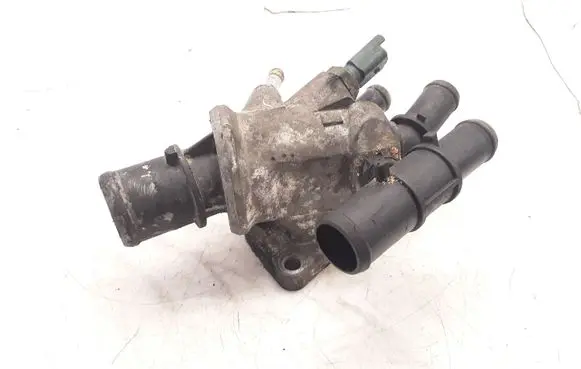 Thermostat/thermostat housing