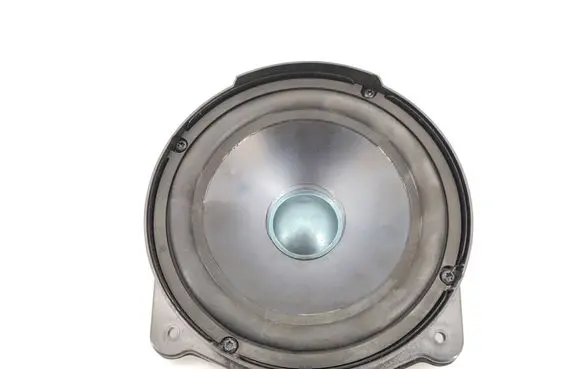 Mercedes-Benz S W221 Rear door speaker A2218203702 165ME021 19206B0051