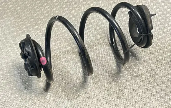 Rear coil spring