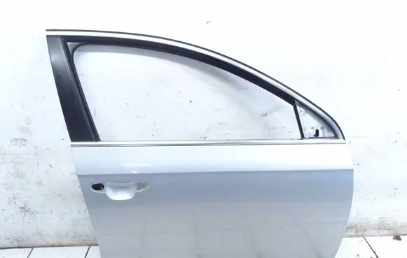 Volkswagen PASSAT B7 Front door