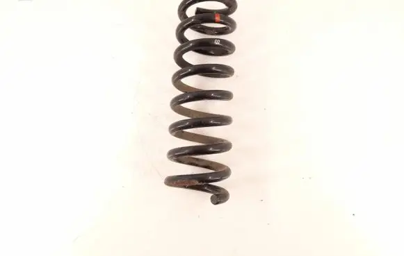 Rear coil spring