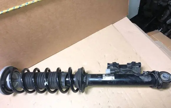 BMW 5 G30 G31 G38 Rear shock absorber/damper 6886888