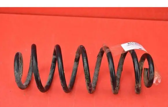 Volkswagen PASSAT CC Rear coil spring 