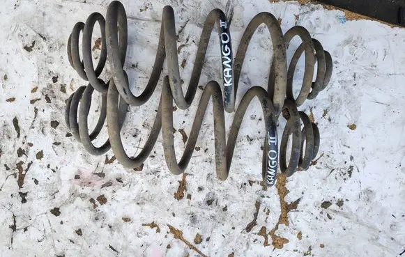 Renault Kangoo II Rear coil spring 